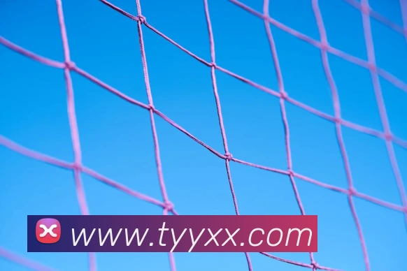 杜兰特缺席训练后续恢复待评估球队出战安排引关注